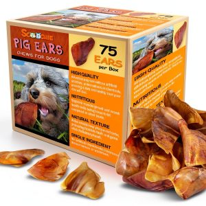 Scoochie Pet Brazilian Pig Ears All-Natural Chews 75 Count-0