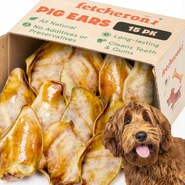Whole Pig Ears for Poodle Small 15 Pack – Fetcheroni Natural Dog Chews-0