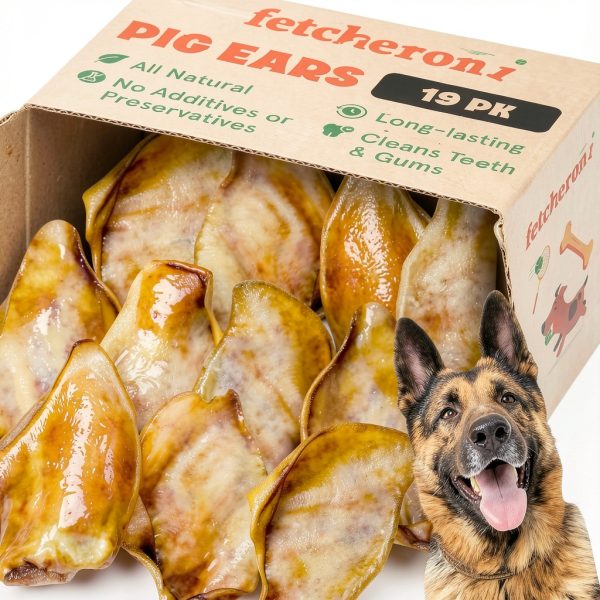 Whole Pig Ears for Large Shepherds - Fetcheroni Dog Chews 19 Pack-0
