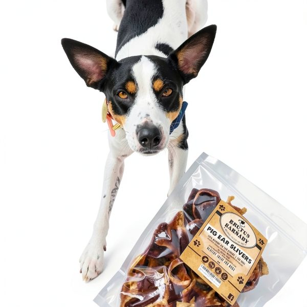 Pig Ear Slivers Thick Cut Natural Dog Treat by Brutus & Barnaby 1lb-5