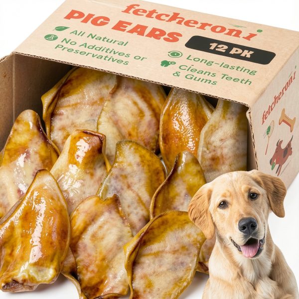 Whole Pig Ears Large 12 Pack Fetcheroni Dog Chews All Natural-0