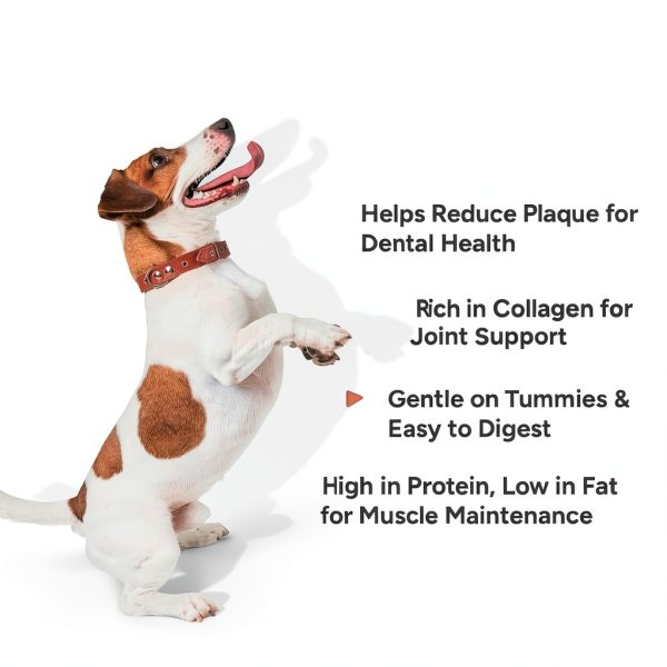Gaines Pet Pig Ear Strips for Dogs 4oz Grass-Fed High-Protein Chews-2
