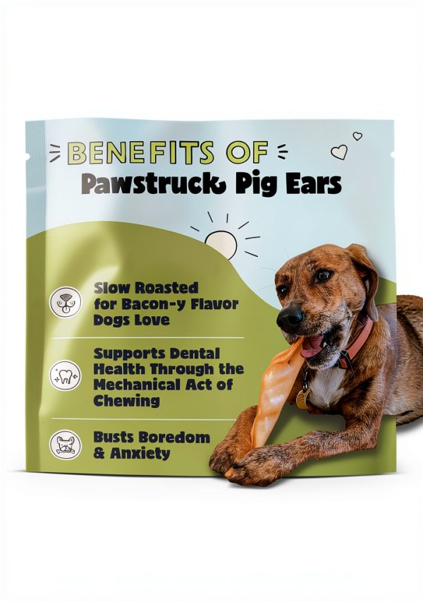 Pawstruck Natural Slow Roasted Pig Ears for Dogs 10 Count Dental Chew-2