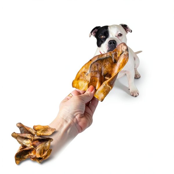 Paw & Pantry Thick Cut Whole Pig Ears for Dogs 20 Pack 5-6 Inch-1
