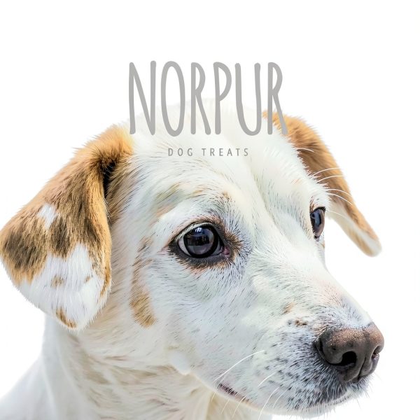 Natural Pig Ear Strips 10lb Box Norpur Oven Baked Hormone Free-3