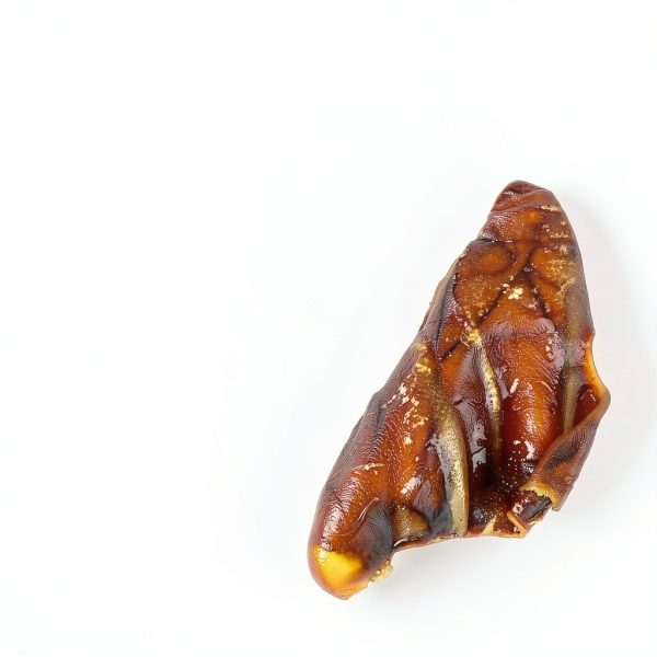 Whole Pig Ears for Dogs Big Lu 6 Count Single Ingredient Treats-1