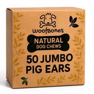 All Natural Jumbo Whole Pig Ears for Dogs Pets Plus Natural 50 Pack-0